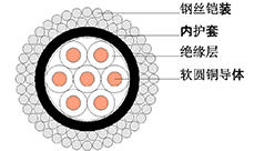 测井电缆